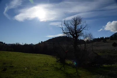 DSC_1066 (Large).JPG